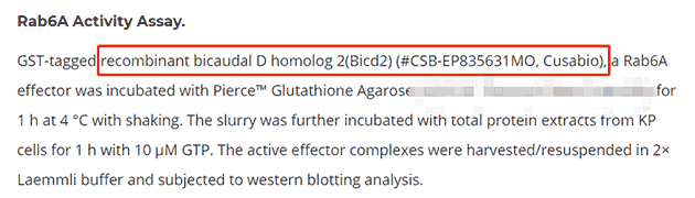 華美生物(Cusabio)助力論文發表