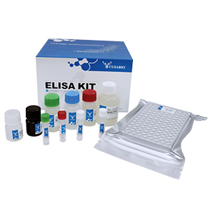 ELISA試劑盒定制服務
